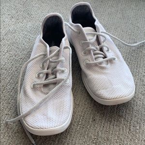 Allbirds Tree Runners